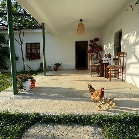 Guesthouse Vitoria - Mrizi I Zanave Fishte Exterior foto