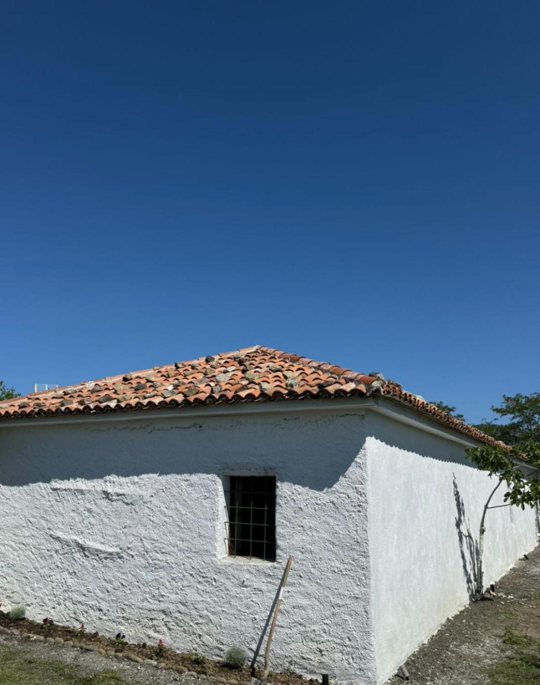 Guesthouse Vitoria - Mrizi I Zanave Fishte Exterior foto