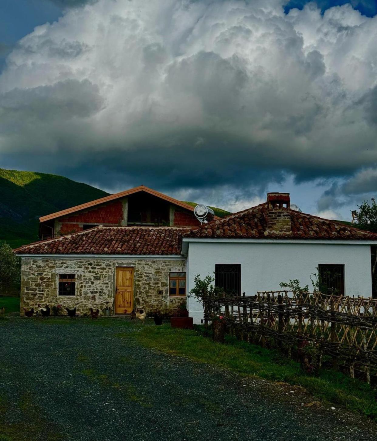 Guesthouse Vitoria - Mrizi I Zanave Fishte Exterior foto