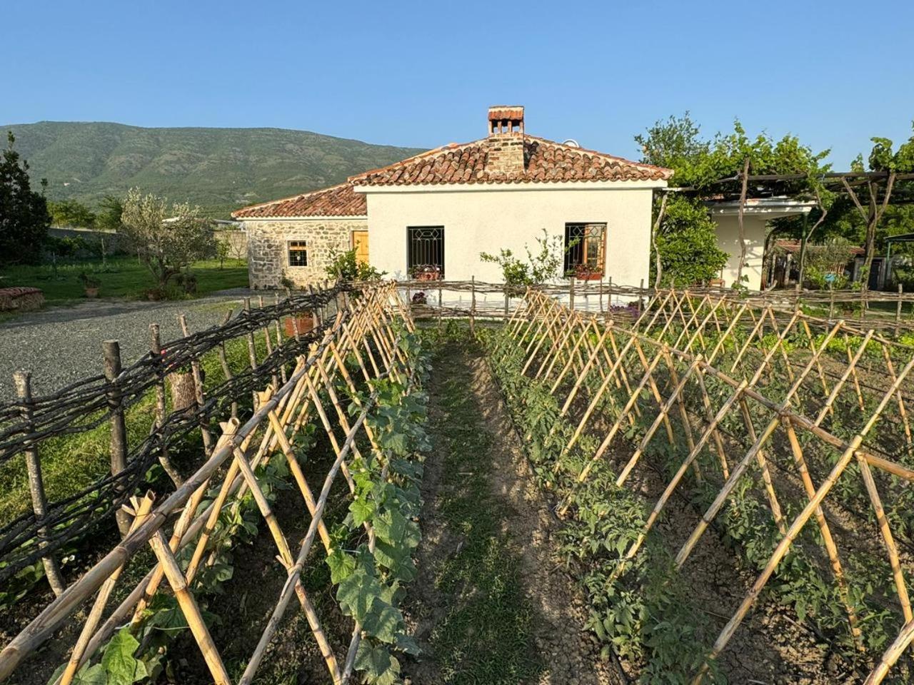 Guesthouse Vitoria - Mrizi I Zanave Fishte Exterior foto